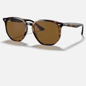 RayBan RB4306 Sunglasses